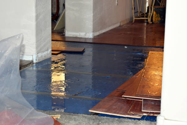Professional Emergency Water Damage Restoration technician working in Shreve, OH